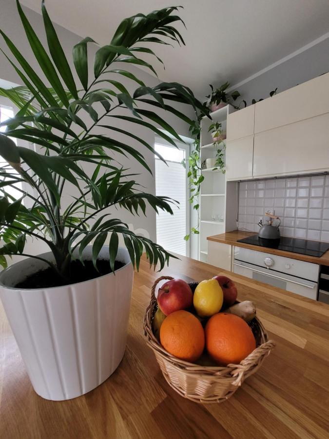 Maciejkowa Apartment Шчечин Екстериор снимка